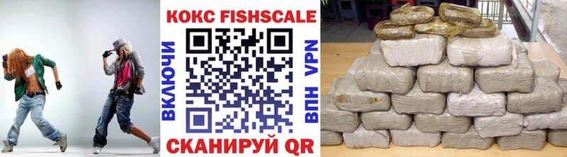 MEGA сайт  цены   Истра  Cocaine FishScale 