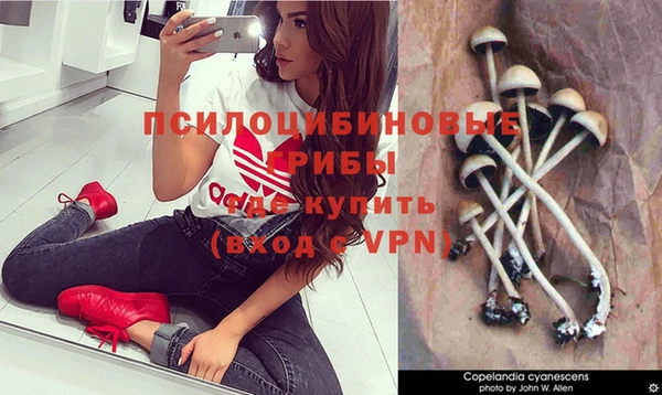 винт Алексин