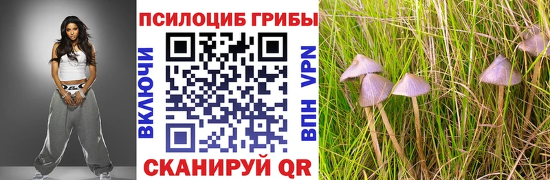 Псилоцибиновые грибы GOLDEN TEACHER  купить наркотики сайты  Истра 