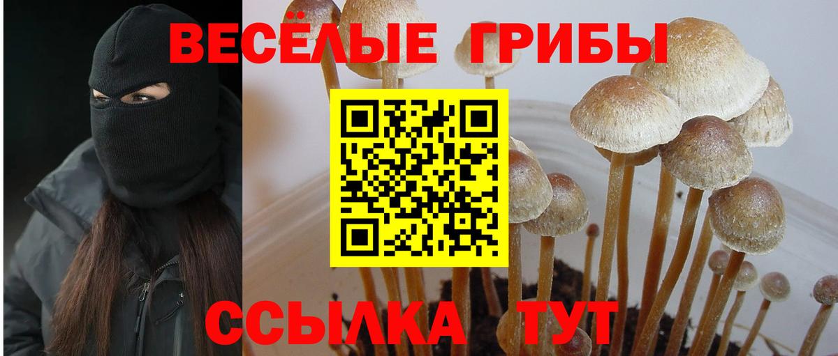 Истра  Галлюциногенные грибы ЛСД  Вход с VPN 